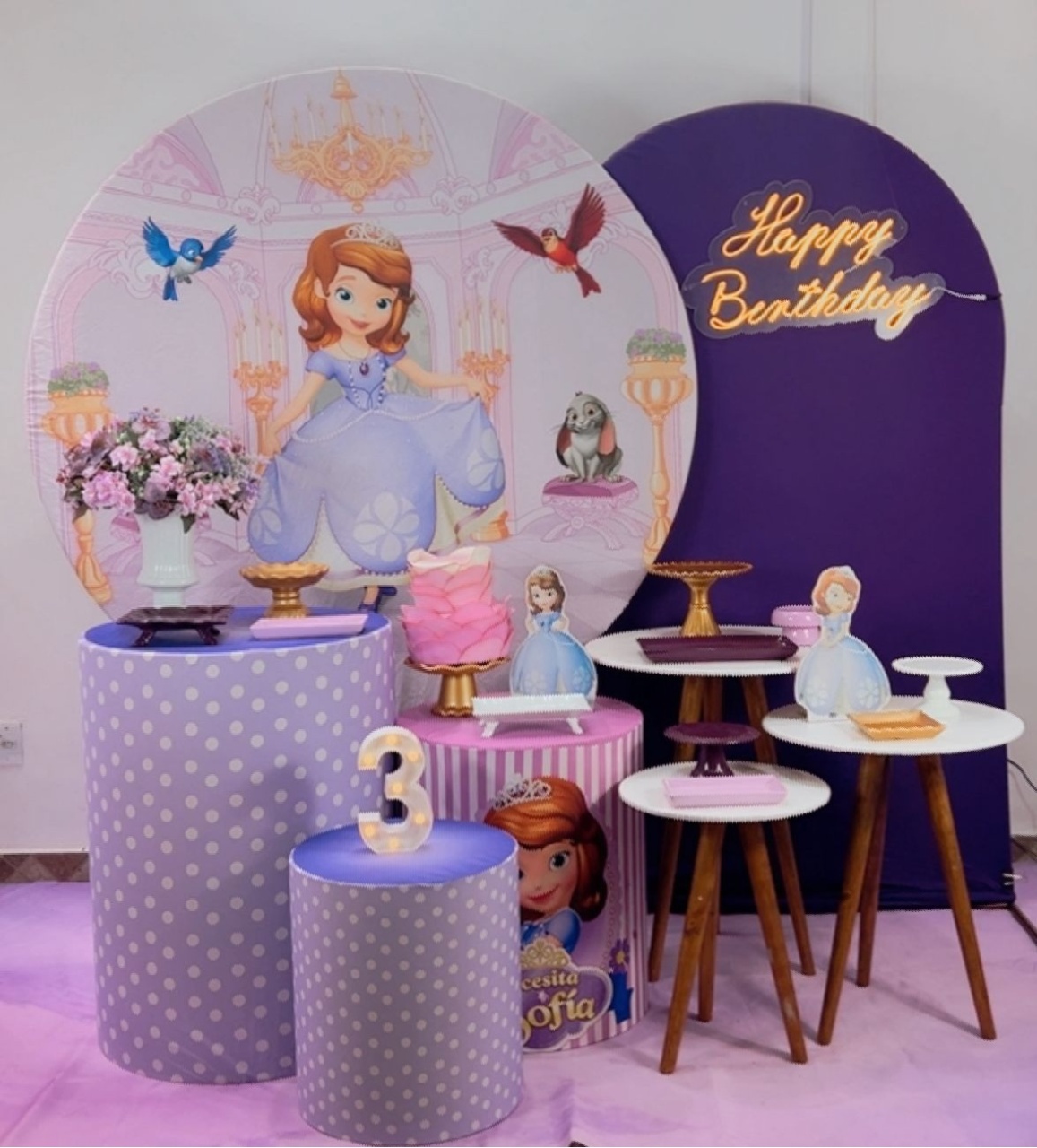 Princesa Sofia Composição  - TudFestas