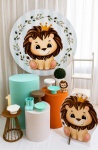 Kit Leaozinho - imagem 4