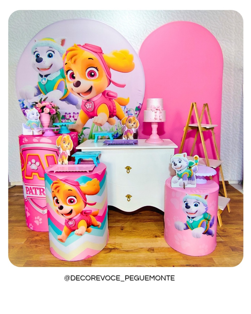 Kit Premium Skye E Everest - Decore Você Pegue & Monte