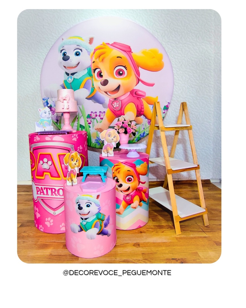 Kit Completo Skye E Everest  - Decore Você Pegue & Monte