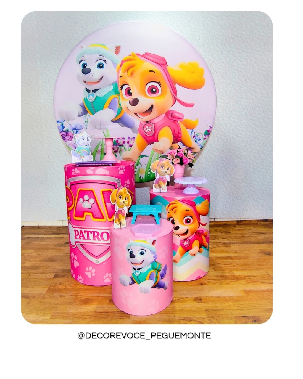 Kit Prático Skye E Everest  - Decore Você Pegue & Monte
