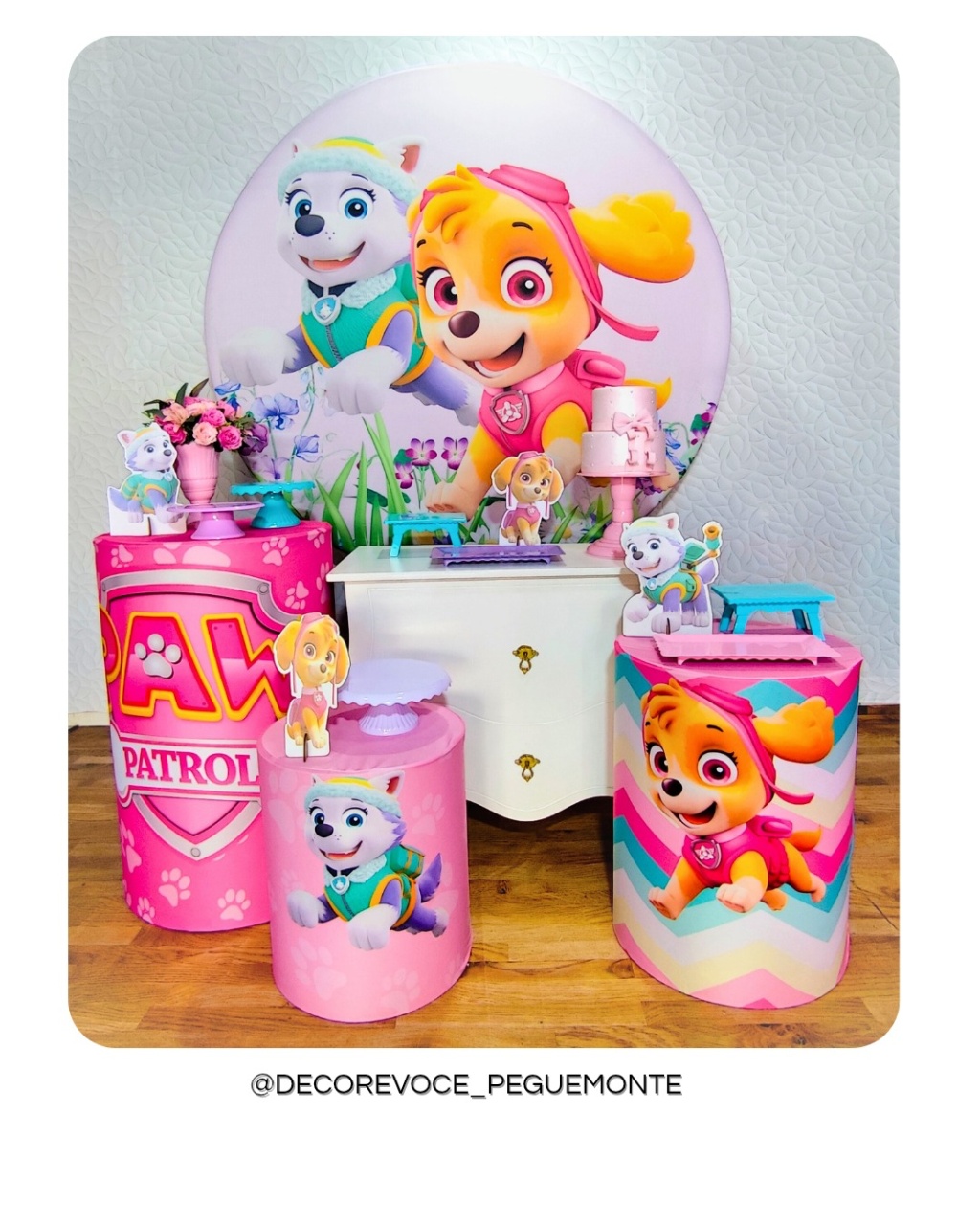 Kit Festejar Skye E Everest - Decore Você Pegue & Monte
