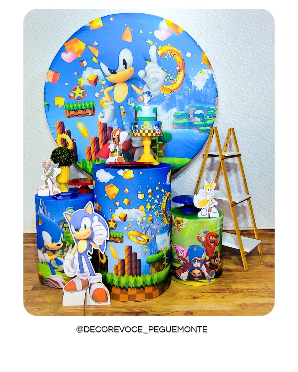 Kit Completo Sonic - Decore Você Pegue & Monte