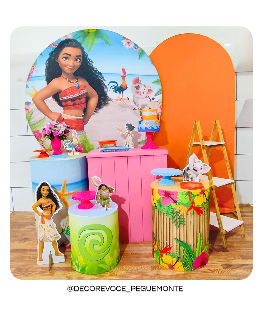 Kit Premium Moana Adulta - Decore Você Pegue & Monte