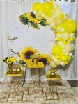 Balões Delivery (2 Metros) - imagem 3