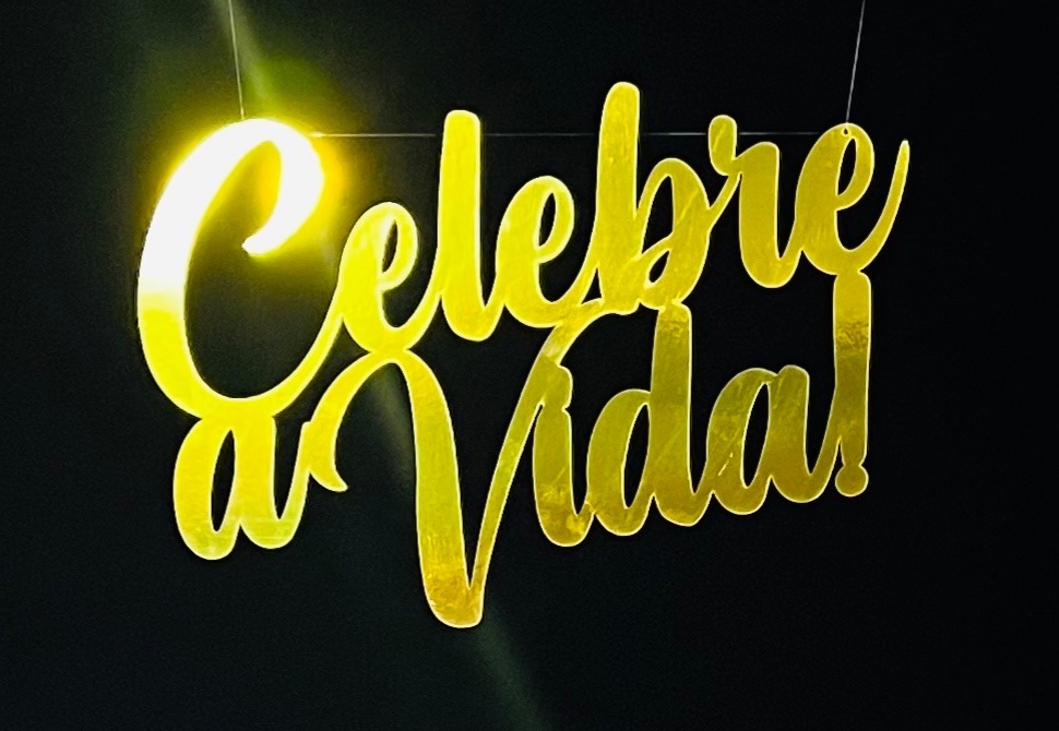 Placa Mdf Celebre A Vida - Ns Decorações Pegue e Monte
