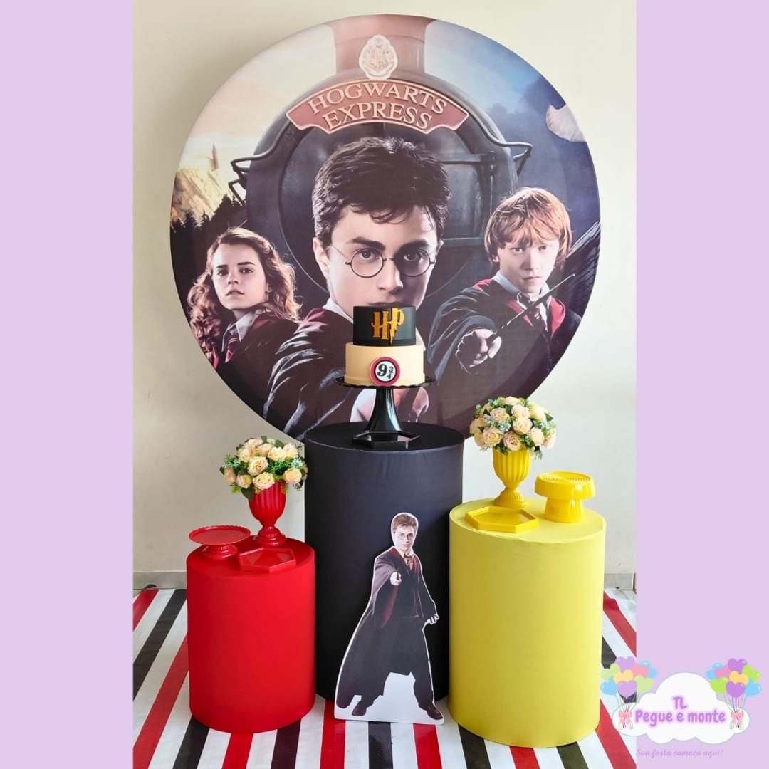 D-Kit Prata Cilindro Harry Potter - Tl pegue e monte 