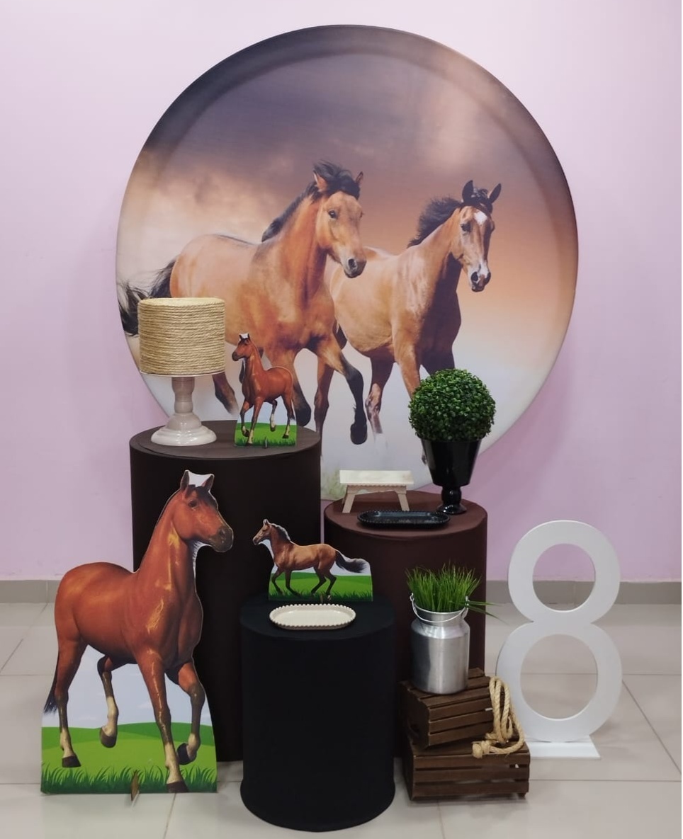 Kit Cavalo Numero 6 - pampegueemonte