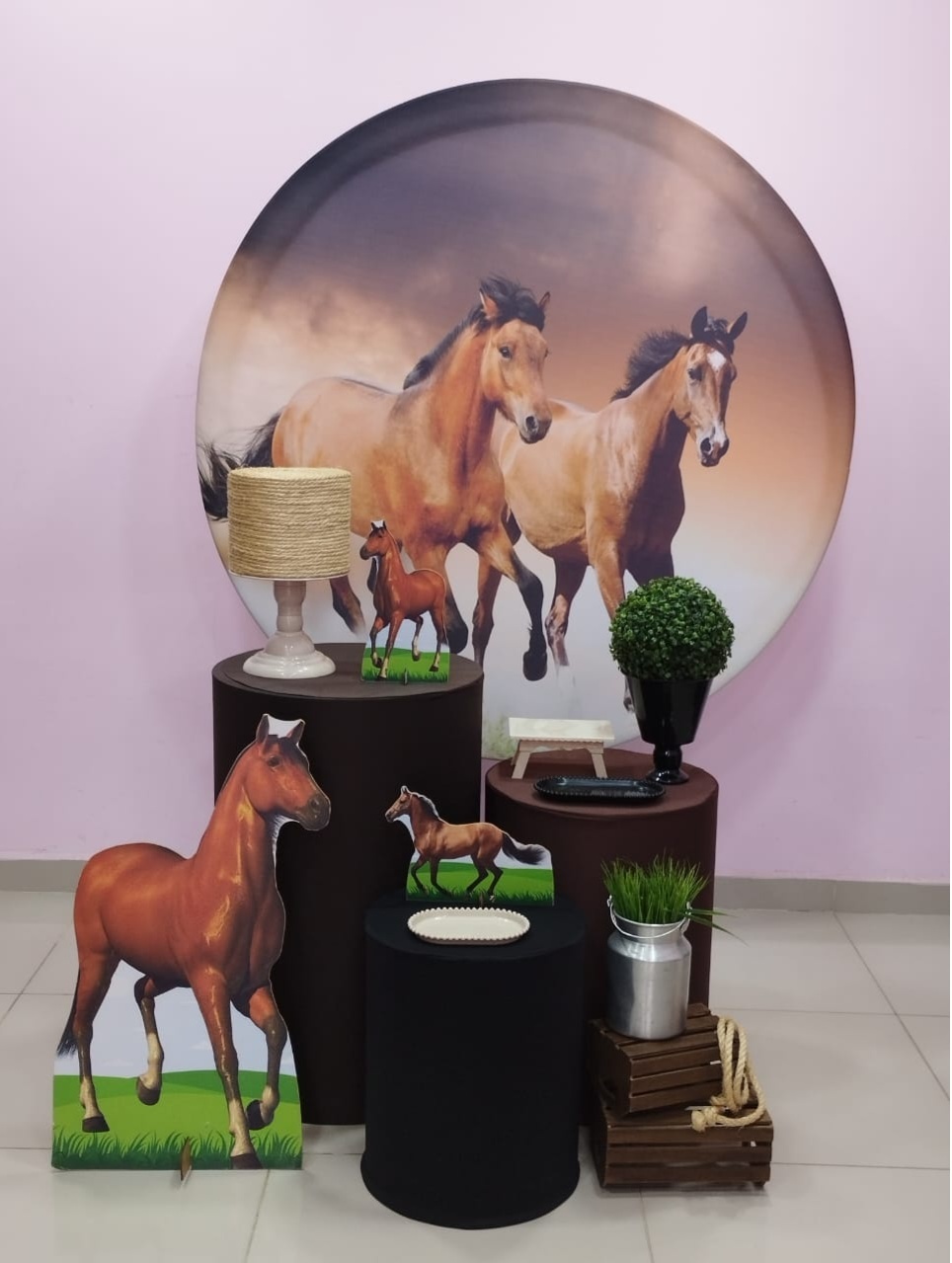 Kit Cavalo Numero 5 - pampegueemonte
