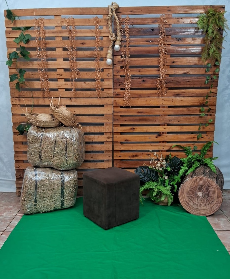 Cenario de Fotos/ Fazenda - gracypeguemonte