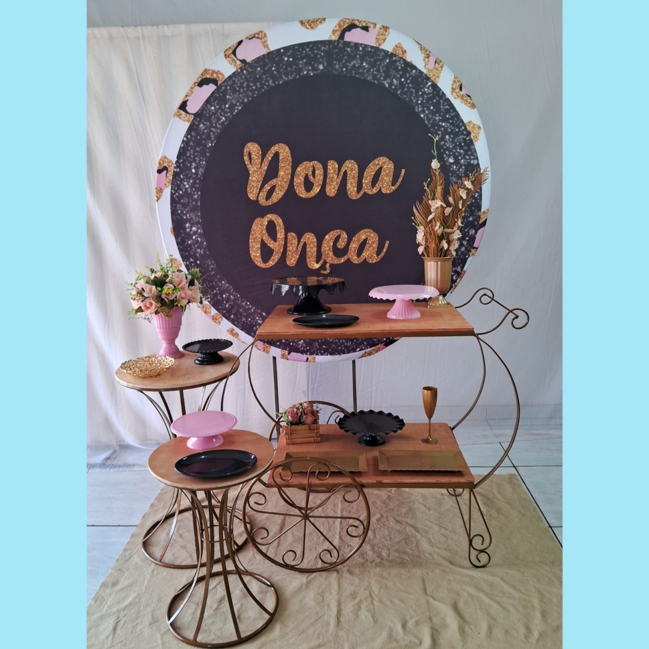  Dona Onça 4 - gracypeguemonte