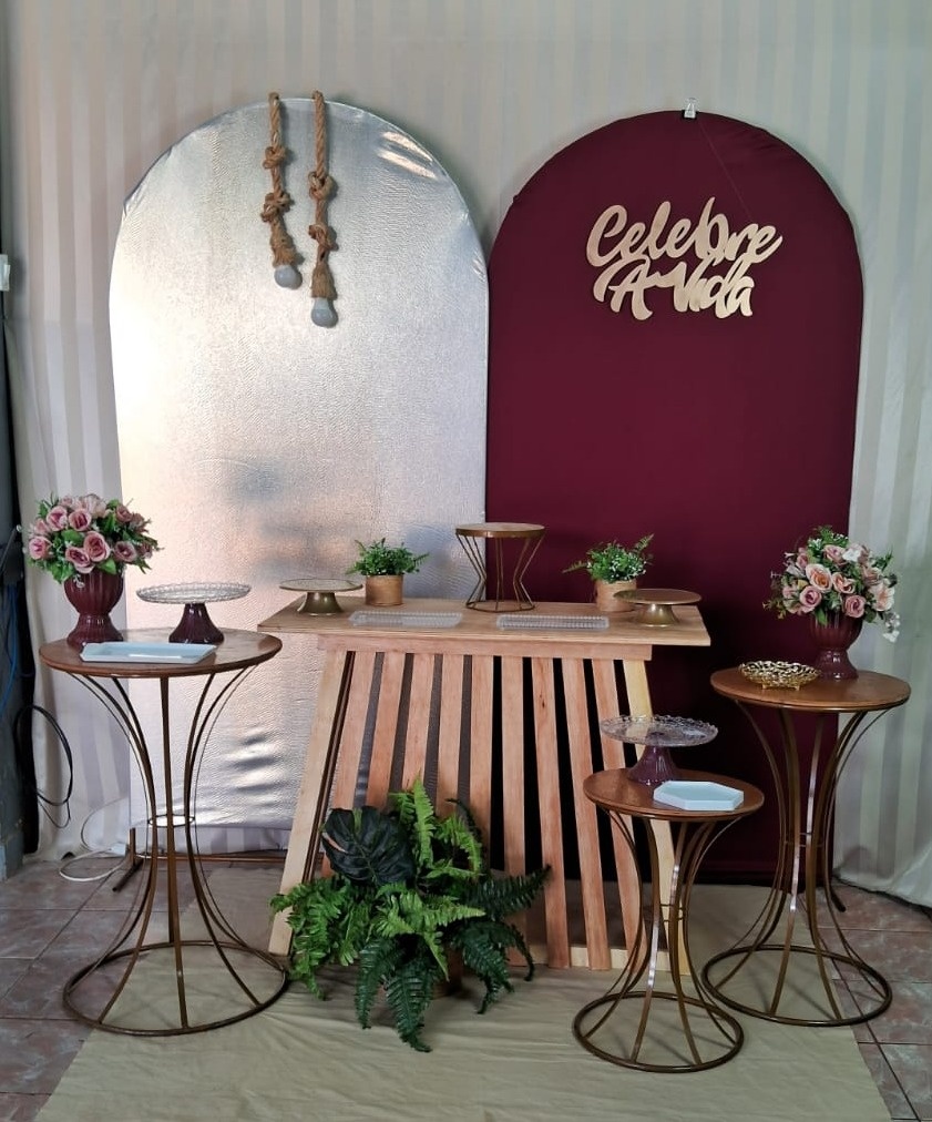 Celebre A Vida/ Brilho/Vinho  - gracypeguemonte