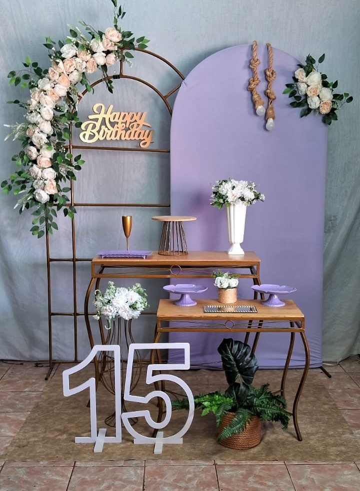 Happy Birthday Romano Lilas / 15 Anos - gracypeguemonte