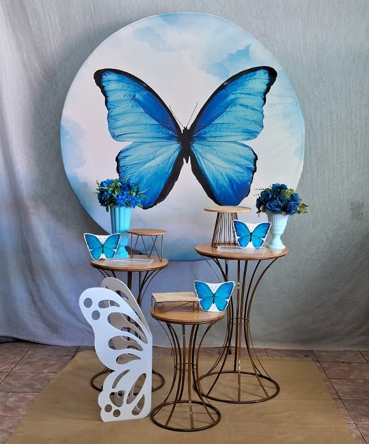 Borboleta Azul  - gracypeguemonte