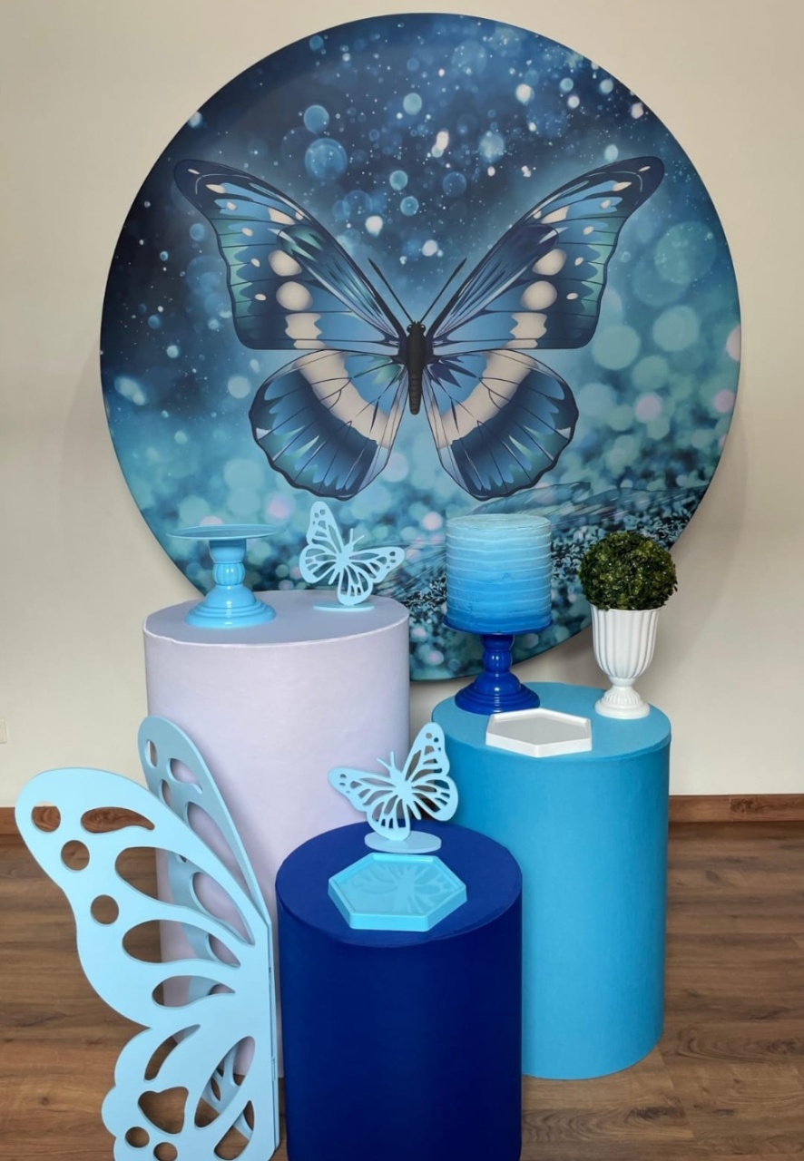  Kit Prata Borboleta Azul - Michele Locações
