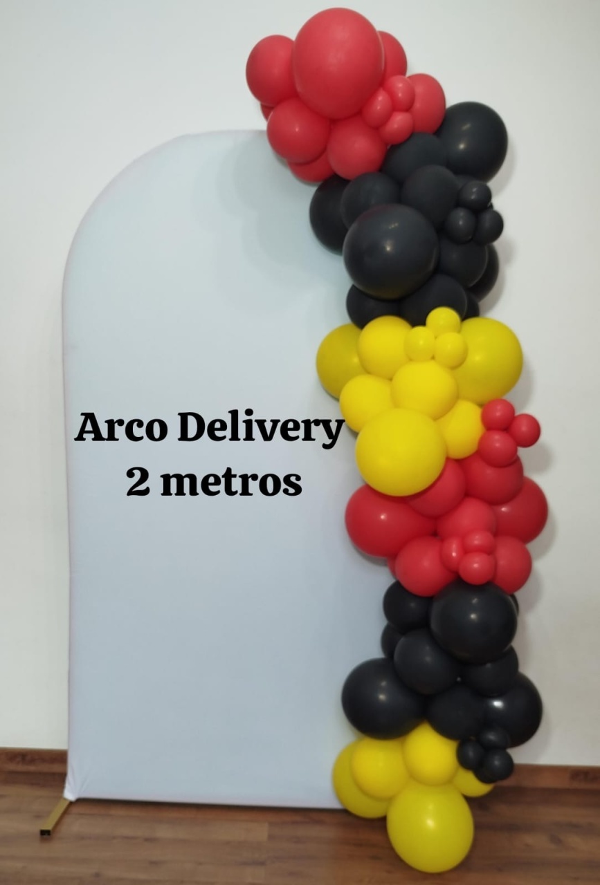 Arco de Balões Delivery  (2 Metros ) - Michele Locações