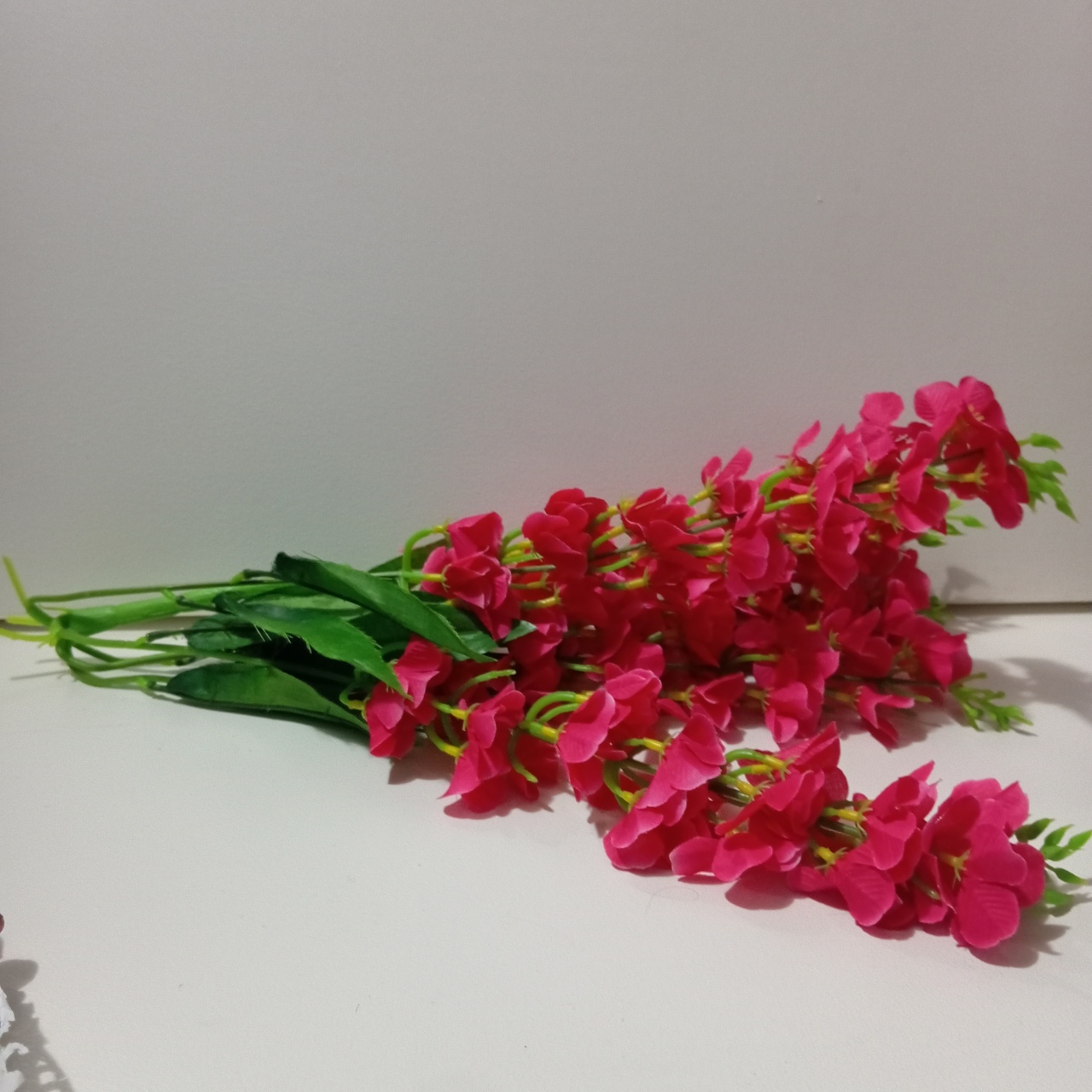 Boca de Leão Pink - Espelhomagicopeguemonte