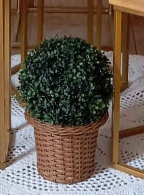 Cachepo Chao Com Bola de Grama - Espelhomagicopeguemonte