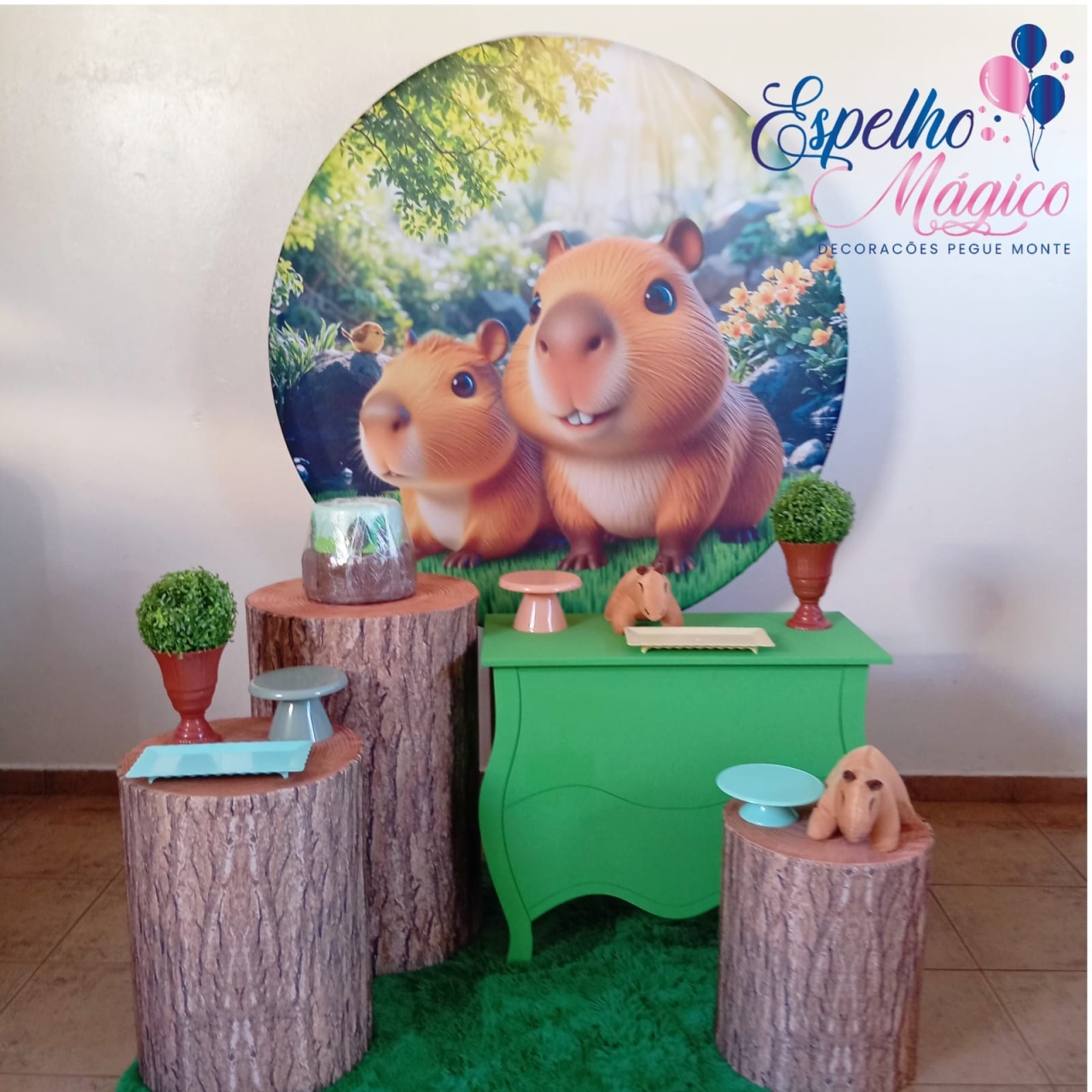 Capivara  Combo 1 - Espelhomagicopeguemonte