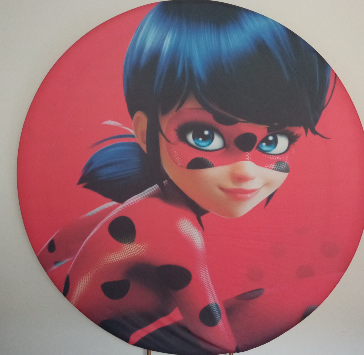 Capa Painel Lady Bug ( Miraculous) - Espelhomagicopeguemonte
