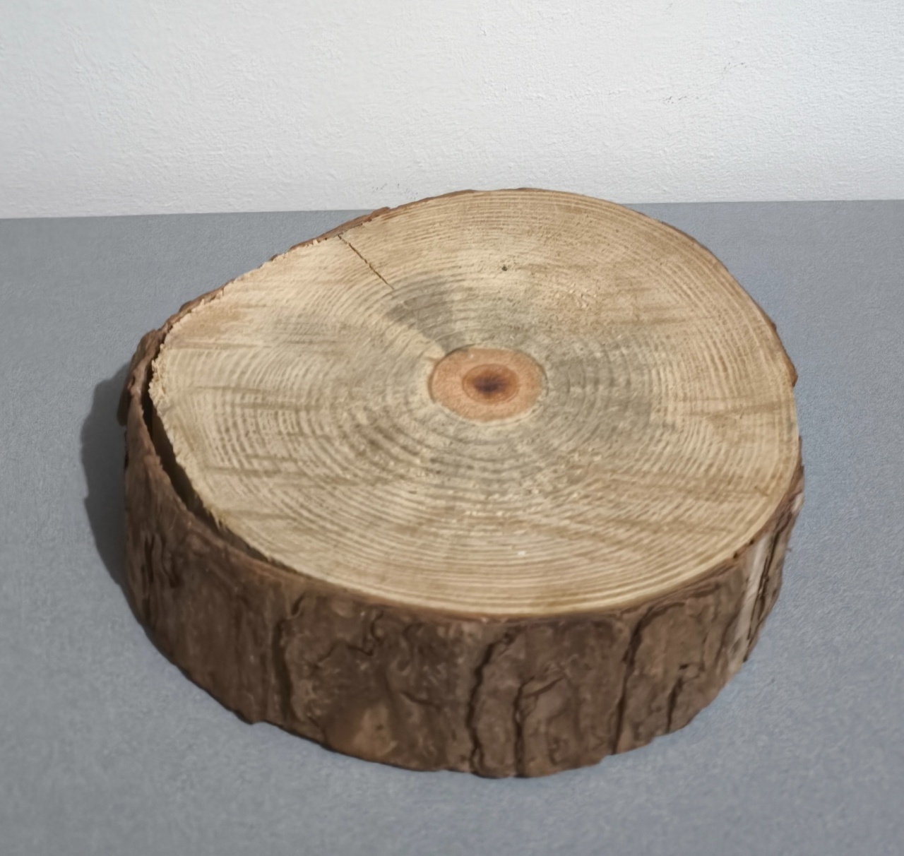 Tronco de Madeira 15Cm - Baloesfeitosdesonhos 