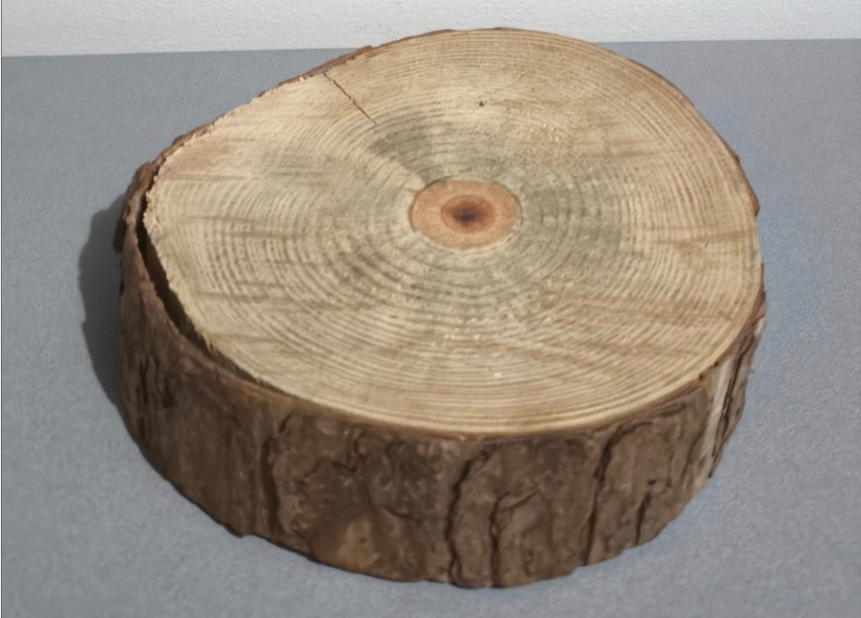 Tronco de Madeira 20Cm - Baloesfeitosdesonhos 