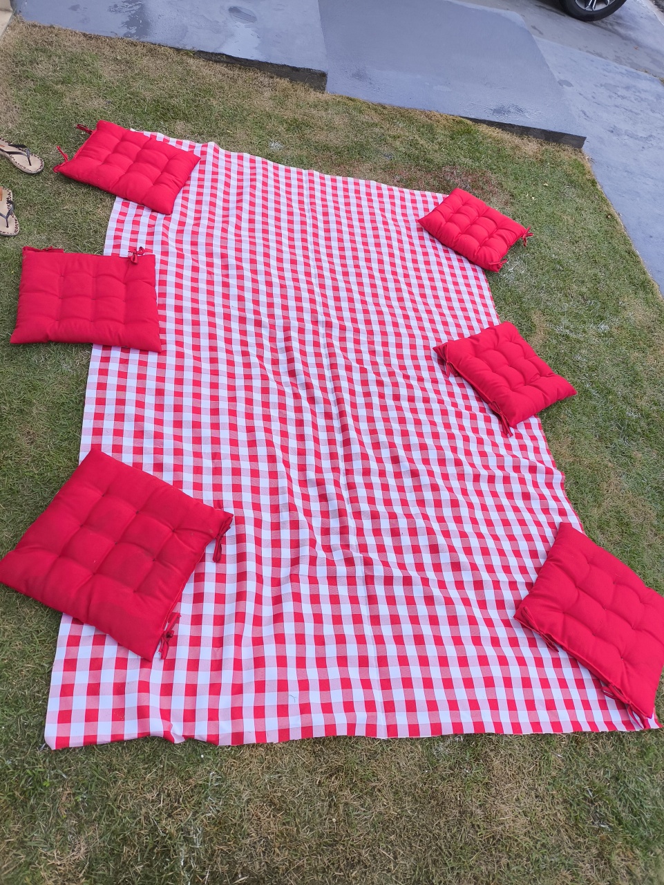 Picnic Básico - Baloesfeitosdesonhos 