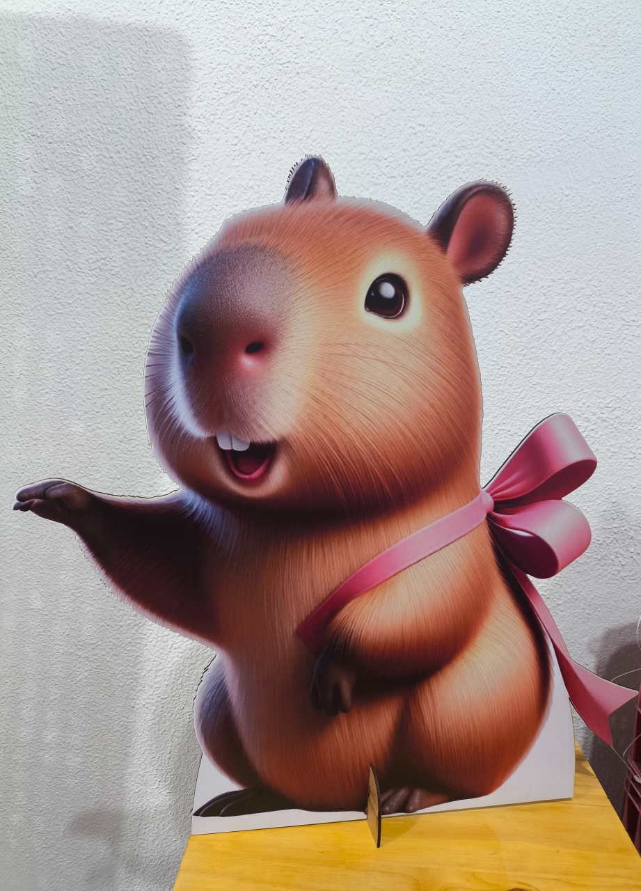 Display Capivara 60 Cm Com Laço  - Baloesfeitosdesonhos 