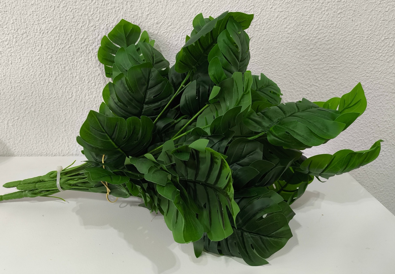 Arranjo de Folhas Costela-De-Adão  - Baloesfeitosdesonhos 