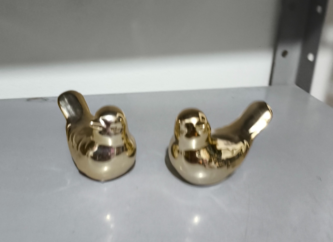 Casal de Passarinho Separado Porcelana  - Baloesfeitosdesonhos 
