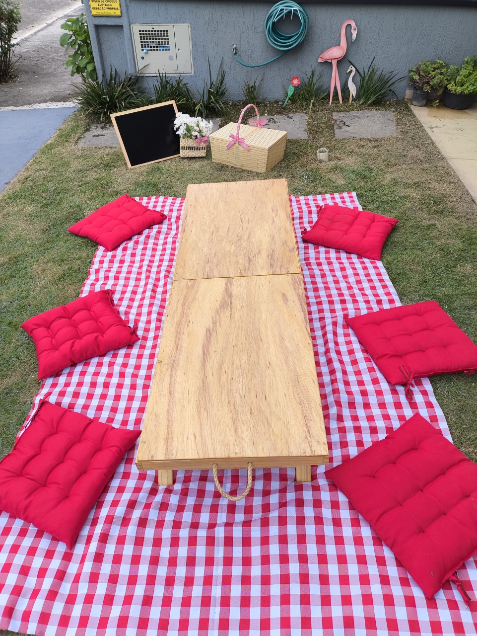 Kit Picnic Vermelho - Baloesfeitosdesonhos 