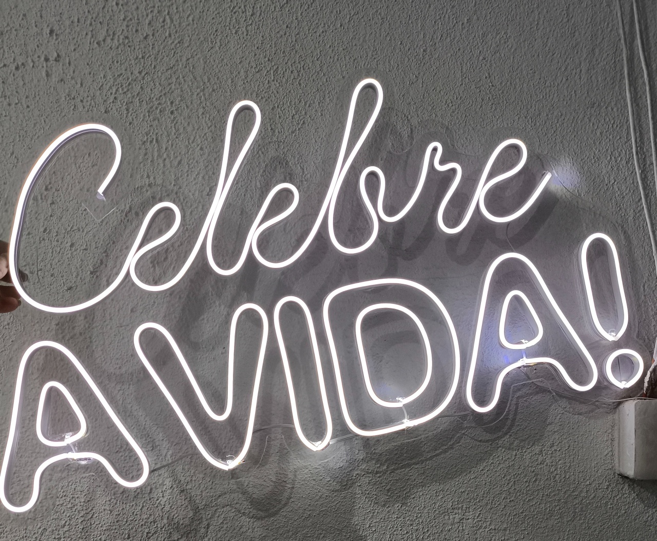 Led Celebre A Vida 60Cm - Baloesfeitosdesonhos 