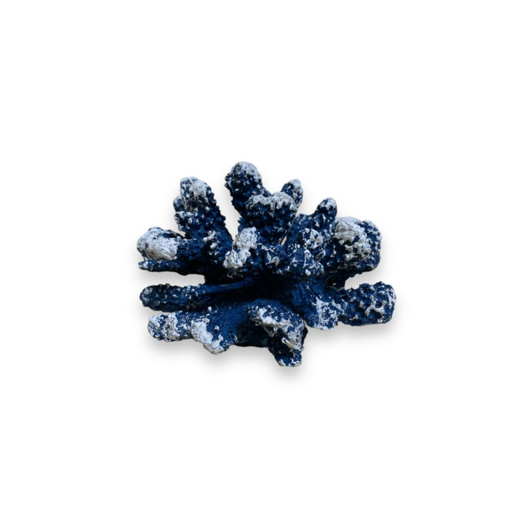 Coral Pequeno - Azul - Azul - i9festas