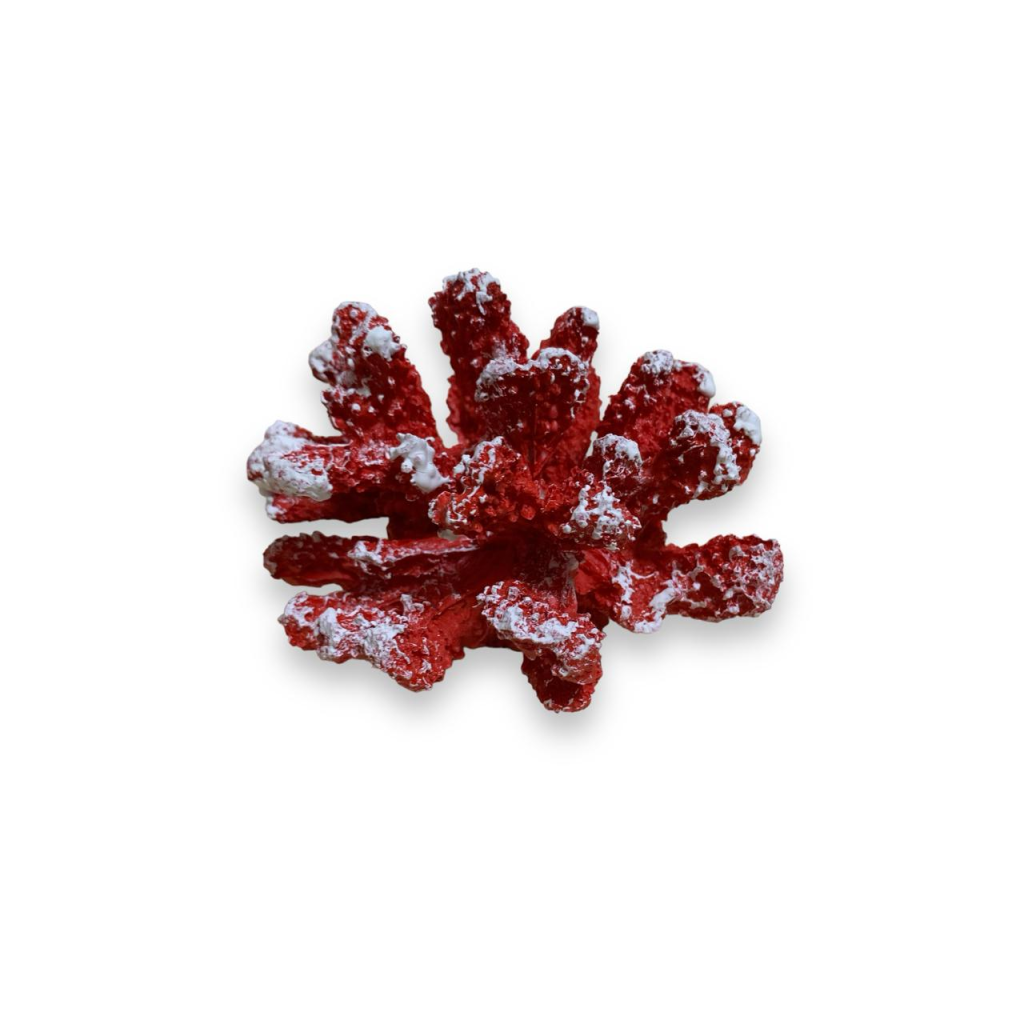 Coral Pequeno - Vermelho - Vermelho - i9festas