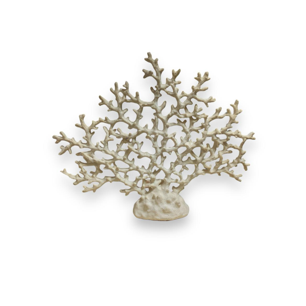 Coral Grande Verdadeiro - Natural - i9festas