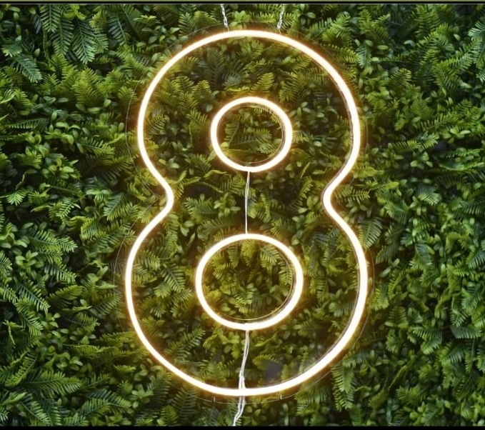 Numero 8 Led   - Guaiba Pegue e Monte 