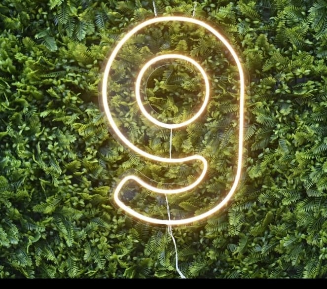 Numero 9 Led  - Guaiba Pegue e Monte 