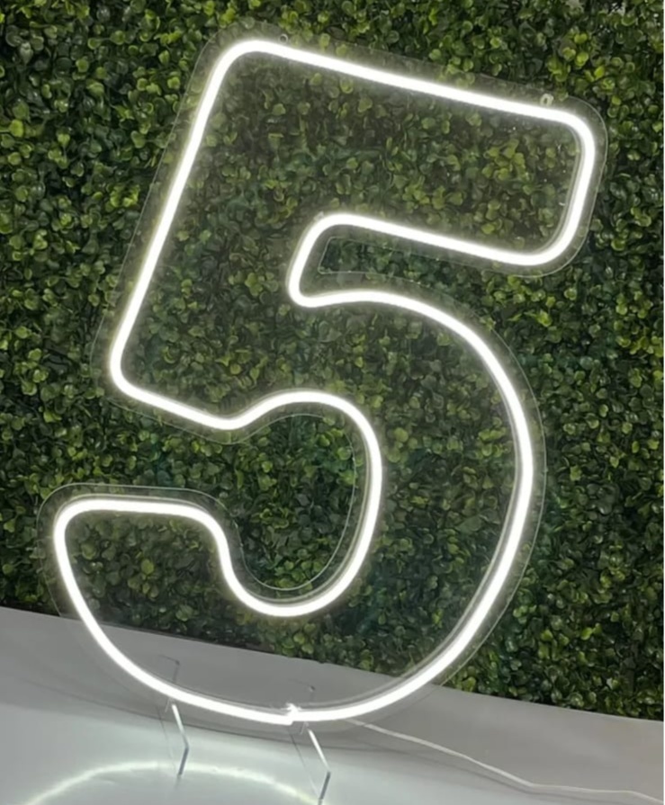 Numero 5 Led -  - Guaiba Pegue e Monte 