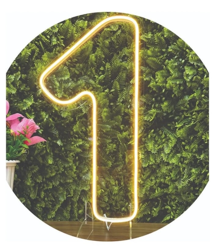 Numero 1 Led - 50 Cm Frio - Guaiba Pegue e Monte 