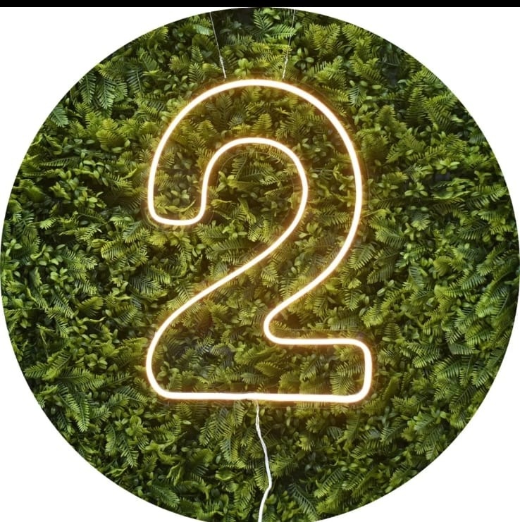 Numero 2 Led   - Guaiba Pegue e Monte 