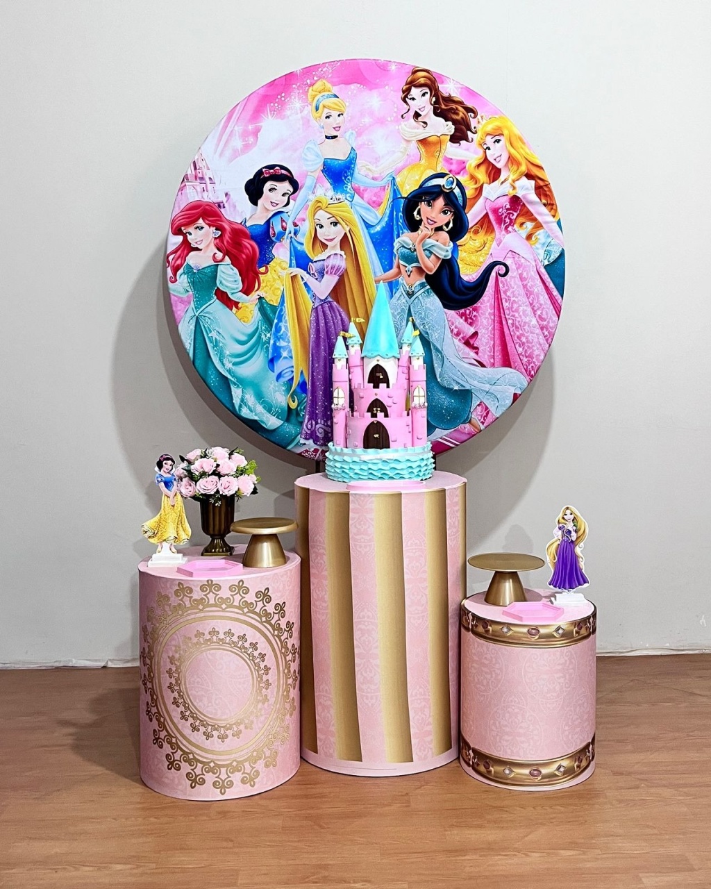 Princesas Disney - Kit Promocional Prata  - FestAí Pegue Monte