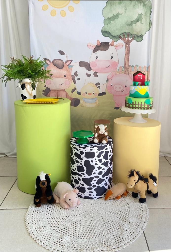 Fazendinha - Festa Fácil - Pegue e Monte Ipatinga