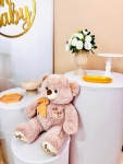 Cha de Bebe/Revelacao (Composicao 053) - imagem 3