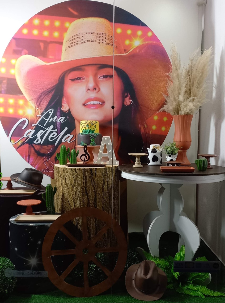 Ana Castela 3 - Decorar  Festas e Locacoes