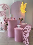 Jardim Encantado  Rosa  - imagem 2