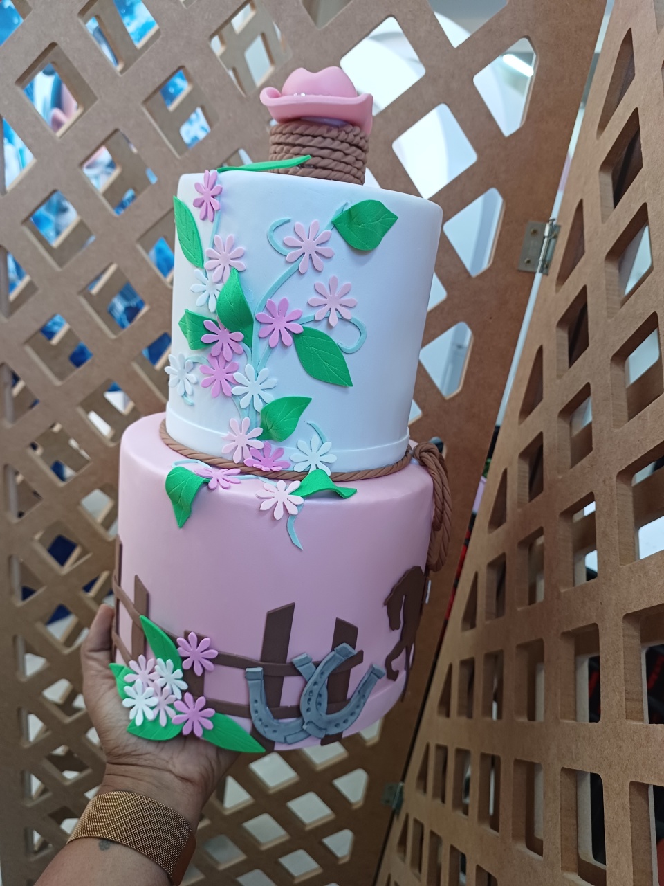 Country Rosa  - maequerofestalocacoesbq