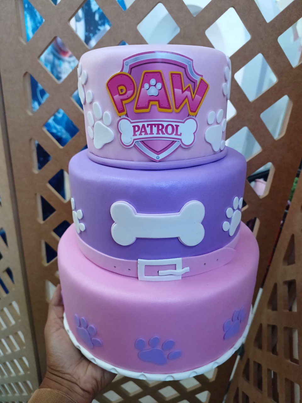 Patrulha Canina  - maequerofestalocacoesbq