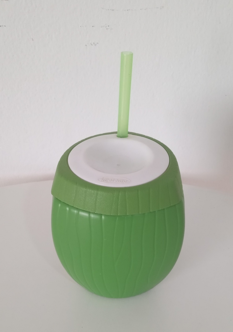 Coco de Plástico Decorativo  - Mimo e Arte Decor e Locações 