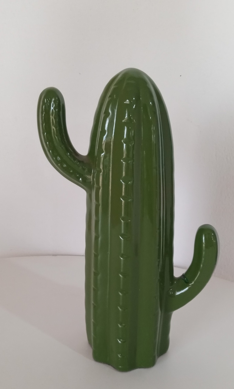 Cacto - Mimo e Arte Decor e Locações 