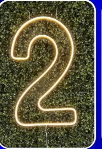 Número 2 Led Para Painel Ou Chão - Greicy Art´s Decor